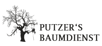 Firmengrafik Branchenverzeichnis
