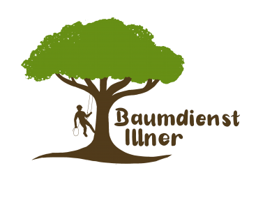 Firmengrafik Branchenverzeichnis
